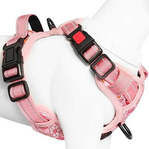 2025ŐV^n[lXBaoCheng p ^/^/^n[lX p h~ A^}ʂ P݌y TCY