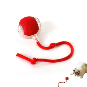 aninako L   L{[ L  {[ dC USB [dt 360 x][