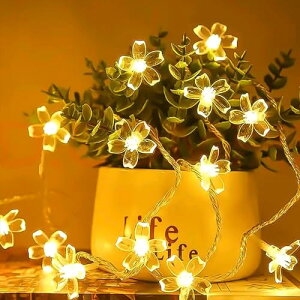 AGOTD LEDC~l[VCgd5M 30 tFA[ dr ̉  K[f XgO O h ho NX}