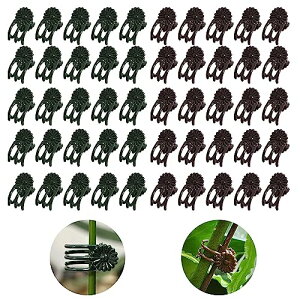 m ApNbv 50 AxNbv |Nbv 2F ڂ؃Nbv xUNbv ϋv ͔| ėp\ K[fK[