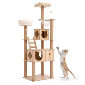 PETTOM Lbg^[ L^[ ^Lp ˂nEX ؐ  u 萫 ۊp݌v fUC ȃXy[X 180