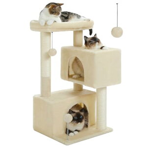 PAWZ Road Lbg^[ Ⴂ  ~j X ^Lp L^[ ܌ RpNg ܂Ƃ|[ LnEX2 u 