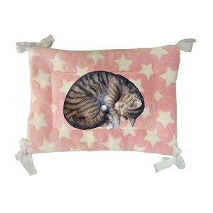 JOYFUSION ybg }bg P[Wp L xbh Lbg^[ lRt Ȃ 􂦂 Lbg^[ 􂦂  ybg