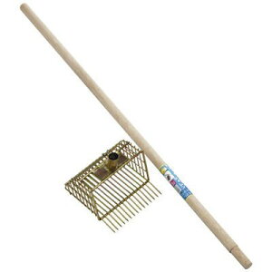 xgBelmont 28013 nbs[LW E