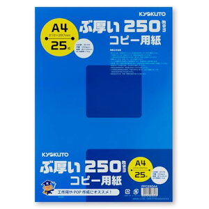 LNgEEA\VGCc Rs[p A4 ԌRs[p 25 PPC250A4