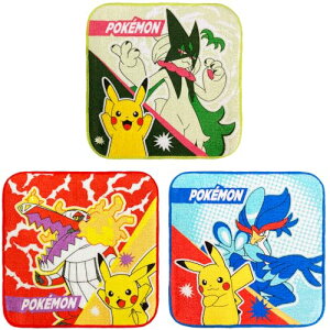 Hayashi ~j^I 3g 16×16cm |P O4628 PO462800