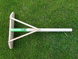 L{VKinboshi Ő̖ړy[L ؕ~j 4037