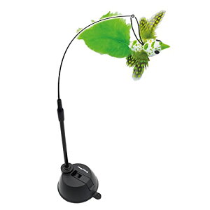 LeB[} CattyMan L zՂłɂg WsO