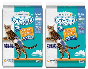 }i[EFA ˂p MTCY 16 2Zbg