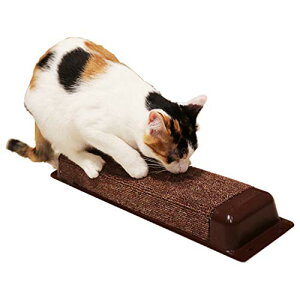 LeB[} ܂Ƃ _[ nbXXNb`