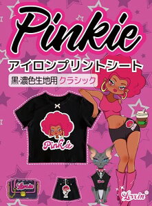 Pinkie ACvgV[g A4 10 EZFnp CNWFbgp vgV[g tVcvgV[g AC]ʃV[g