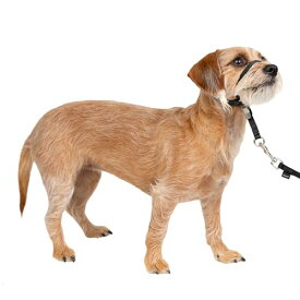 PetSafe ペットセーフ ジェントルリーダー ヘッドカラー クイックリリース（S ブラック）