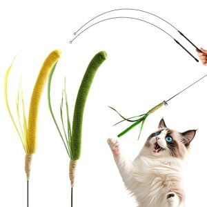 L 2_Zbg L炵 ˂ XXL  ˂炵 t 2{ފƕt lV LXgXy ^s