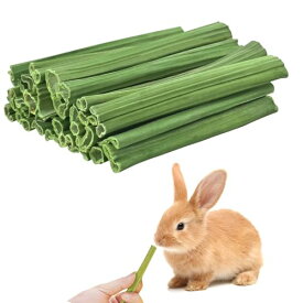 ウサギ 噛むおもちゃ 40g パパイヤの葉の茎 小動物用のおもちゃ 天然 無添加 無着色 パパイヤの茎 噛むおもちゃ かじり木 歯磨き 噛む棒