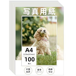 Wtrgas ʐ^p A4 210x297mm  tHgp 0.25mm 100