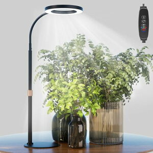 bseah �̓��C�g�A��������A���S�ȃX�y�N�g���̉����A���̂��߂� LED �̐A�����C�g����Ă܂�������t���Ă��郉���v�A3H/9H/12H ��