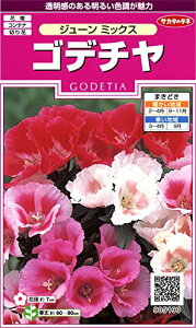 TJ^̃^l 5190 Sf` W[~bNX 00905190