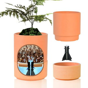 Green Ship Aؔ ꕔv^[ 3 ̃Zbg vX`&Xg[ Ȏ vy  򍪐AΉ