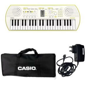 CASIO JVI/SA-81 ~jL[{[h