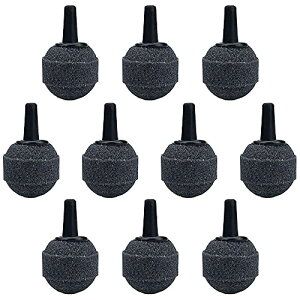 YFFSFDC ` GA[Xg[ a20mm 10Zbg ԂGA[Xg[ ^  ANAE  ^N CAfBt