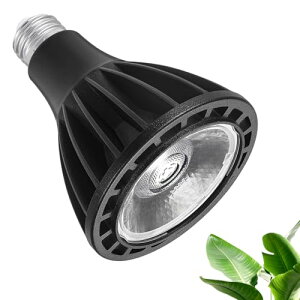 18W LEDA琬CgAE26AtXyNgA5800 KAAFA܂Ɛ̂߂̏ȃGlACgAAubN