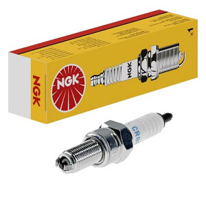 {ꓩNGK Xp[NvO ʃvO 2 lW`/^[~iȂ1{ 7546 CR7EK t˂a : 10.0mmEt˂