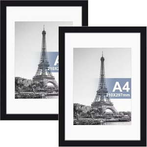 Raoendis a4 z 2Zbg Ǌ| tHgt[ yʊz |X^[t[ cuEu\ ubN TCY29.7x21