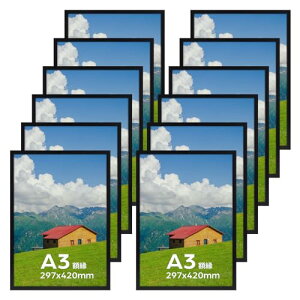 Serwrsw z y A3 ʐ^ |X^[ A[g tHgt[ Ǌ| 29.7x42cm ubN 12 Zbg