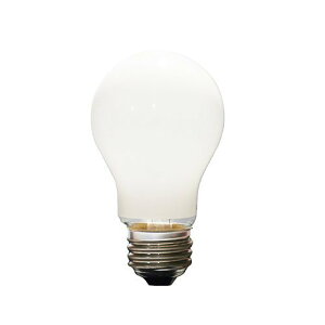 �z���C�g�V���J�d���@60W�`�@LW100V57W/55