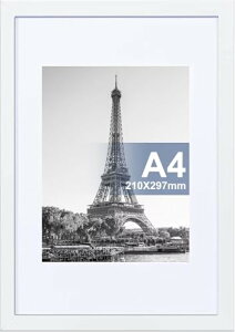 Raoendis a4 z 1Zbg Ǌ| tHgt[ yʊz |X^[t[ cuEu\ zCgTCY29.7x21c