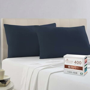 Pizuna sYi 100%Rbg Jo[ 2g - VR400XbhJEg zei @ہiOXe[vjTeD