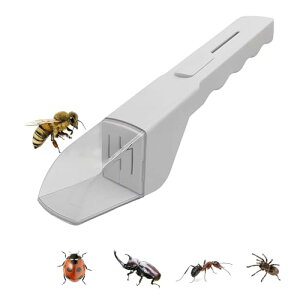 Lb`[  ߒ oOLb`[ JV ߊl ߂  ώ@ ̏W RoG nG AuV ~oG Q΍pi