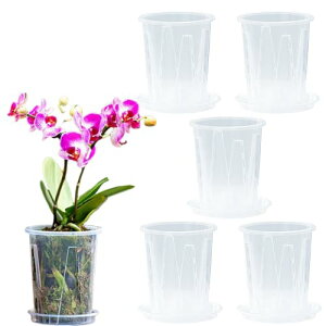 CHANJIF Aؔ 5 10cm Xbg A vX`bN  ?? t ϗtA A Ӓ c|bg 