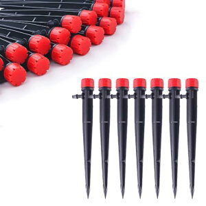 YBGGJO  p[c 50 Lbv UVXe _HmY ʒ |/A/~//뉀p Up