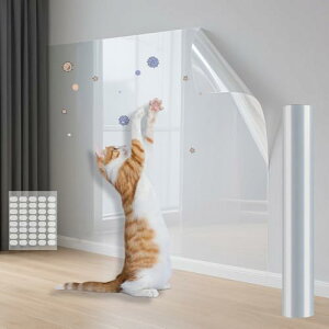 L ǎیV[g 45cm 10m  ÓdCz ͂  ǉh~V[g h h ǕیV[g \₷ L ܌