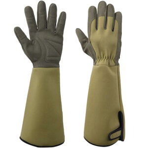 Niesporek op |p K[fO[u  hȂ gQh~ ϐh ނ _Ɨp |pi