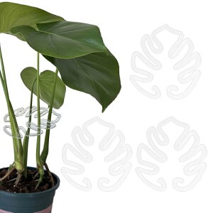 UrbanPulse |x AsT|[g K[fjO x AT|[gXe[N   A]|h~ iK ȒP K[fj