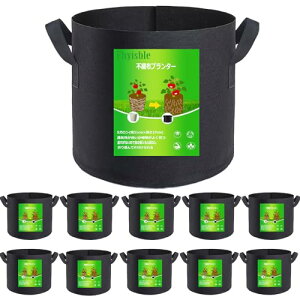 sDzv^[ ͔| z Aؔ sDz|bg 5K10 31cm×27cm 10 16bg y ƒ؉ 