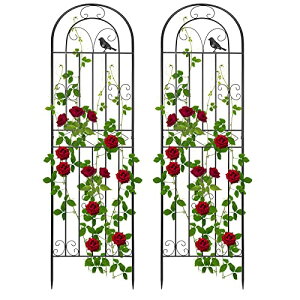 Rxakudedo 2 ACAtFX | tFX nC^Cv 180cm [YtFX Apx tFX