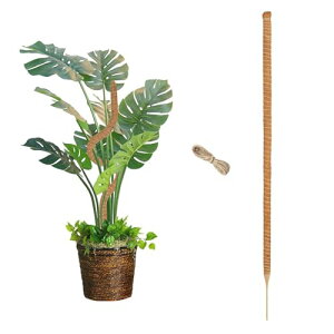 Komzlait ϗtA x GRth[ VRf wSx RRV@ۖ_ |x ϗtApNC~OT|[gvȃT|[g