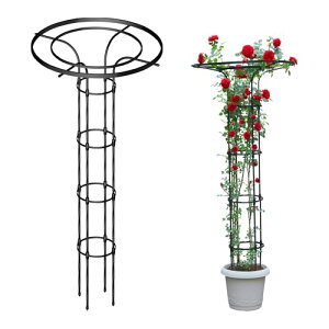 Caroeas K[fIxXN P^ gX 175cm |x  ȒPg  KN  N}`X g}gȂǂ