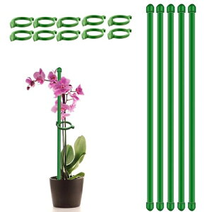 Ax 5Zbg ϗtA 30cm | Ԏx Ӓϗtx AT|[g _Ɨp |pi K[fjOԎxi10̗ߋt