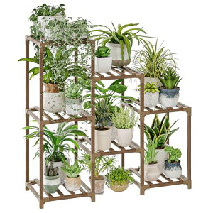 Bamworld t[X^h O 3i v^[X^h | ϗtA  ؐԑ K[fbN A I Aؔ K[f