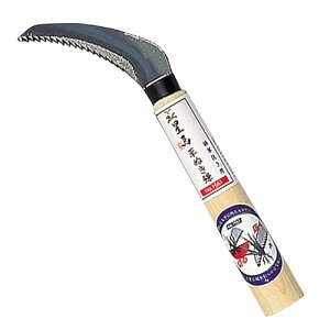 �L���{�VKinboshi ���n ���ʂ��� 1561
