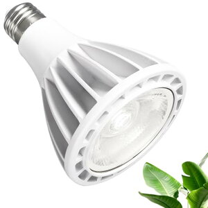 18W LEDA琬CgAE26AtXyNgA5800 KAFA܂EpȃGlA琬CgAAzCg