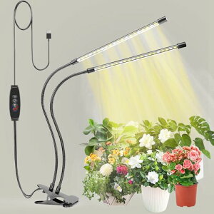 bseah ApCgAtXyNgACgA9iK\AI/It@\ti3/9/12ԃ^C}[j