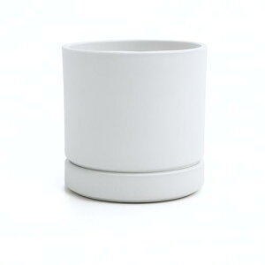 Greenship �A�ؔ� �󂯎M�t�� 5���i15.8CM�j �}�b�g�����ȃI�V������ �G�R�f�� ���D�F ���D�F 5��