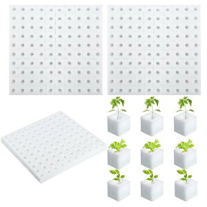 Dekori k͔|X|W ؐAX|W k͔| 300 y͔||{|bg ؐA k͔| A͔| ؍͔| 뉀c^