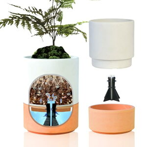 Green Ship Aؔ ꕔv^[ 3 ̃Zbg vX`&Xg[ Ȏ vy  򍪐AΉ