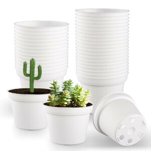 ϗtA c|bg A 2.5 ~jv^[ 60Zbg rt PPvX`bN Aؔ y h }bgdグizCg